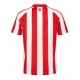 Sunderland Kotipaita 2026-27 Lyhythihainen